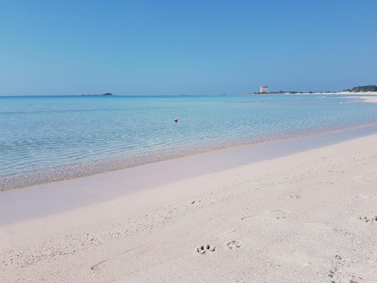 Hotel Posidonia Porto Cesareo Kültér fotó